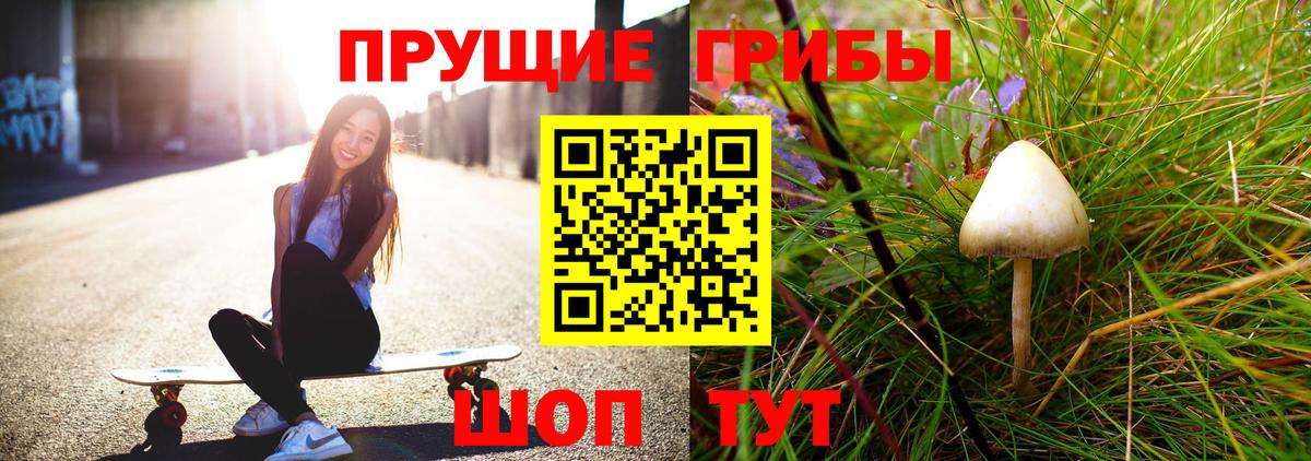 Сочи  Галлюциногенные грибы GOLDEN TEACHER  Псилоцибиновые грибы Magic Shrooms  Вход с VPN 